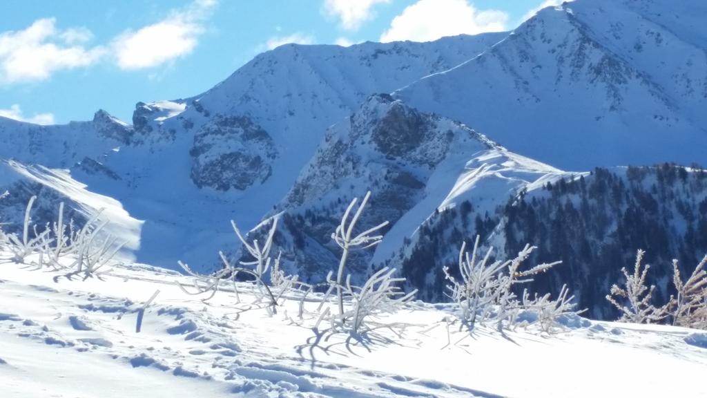 Le Chalet Du Queyras And Spa Molines-en-Queyras Esterno foto